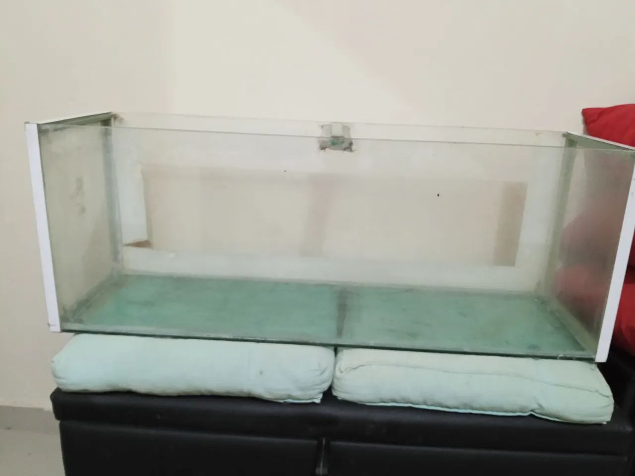 Aquário  - Foto 2