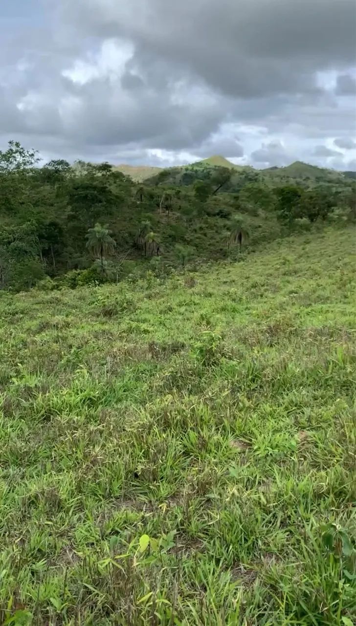 Fazenda Produtiva - Foto 8