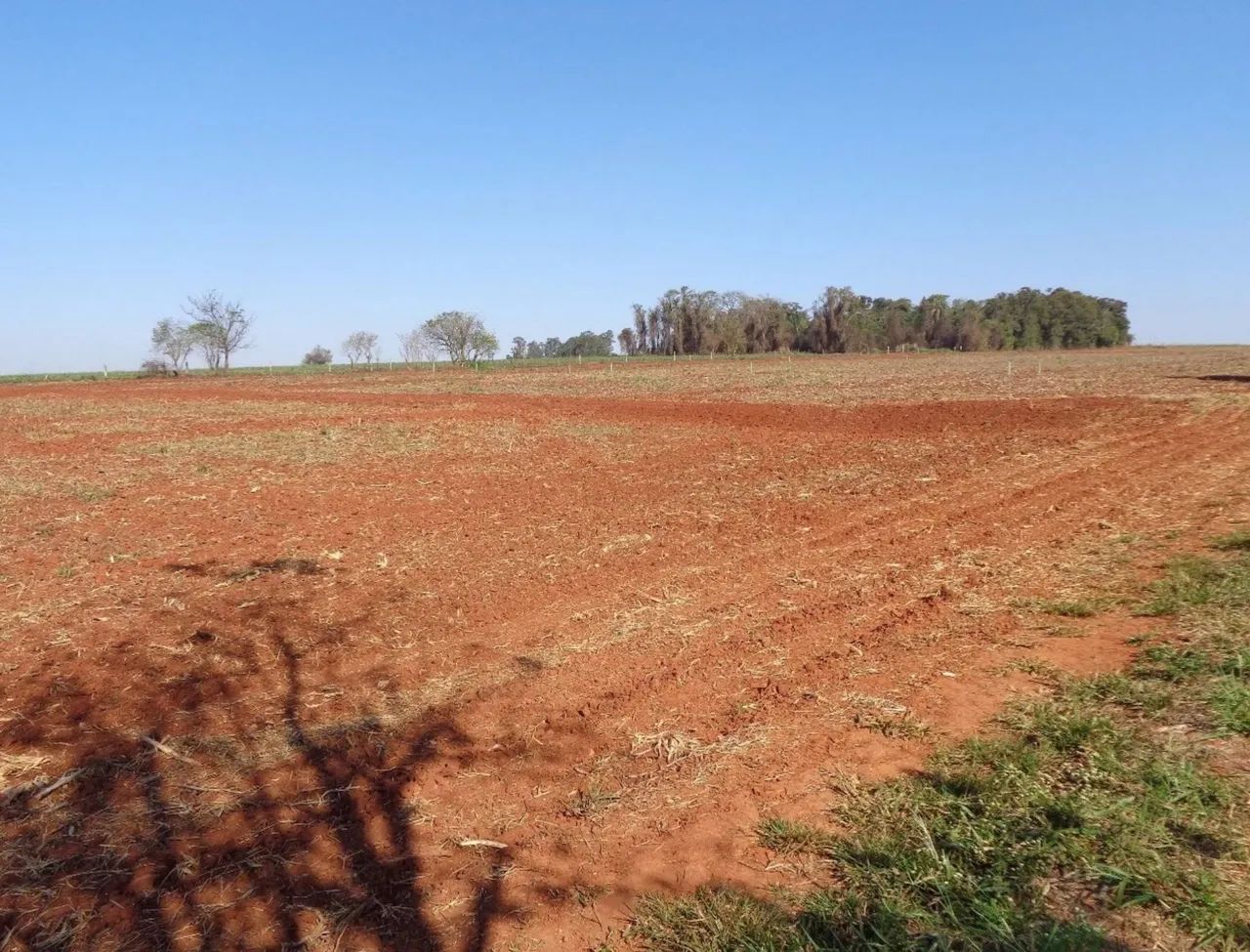 Vende Terreno para Chácara  - Foto 2