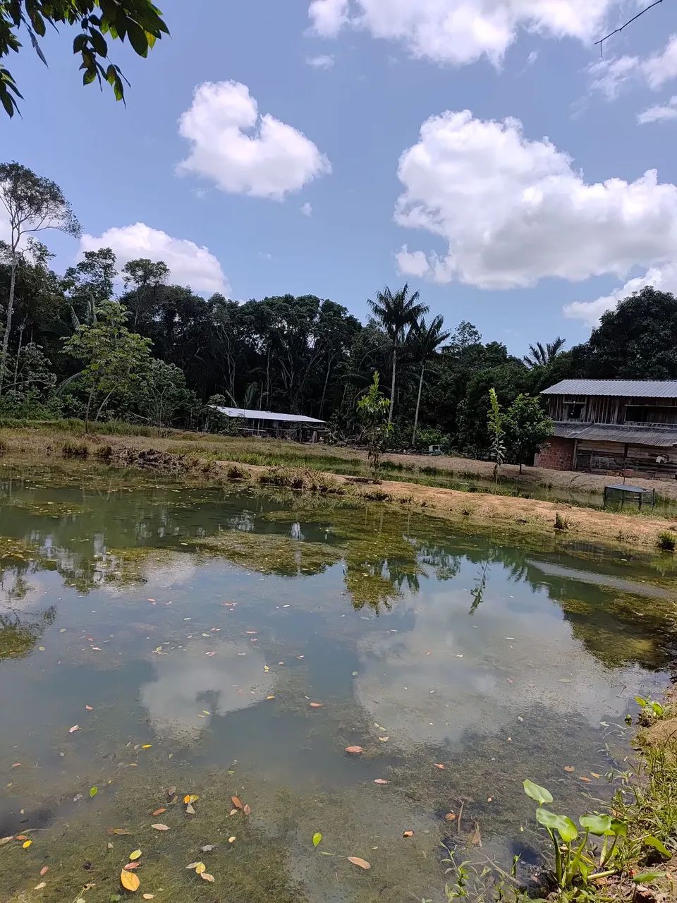 Vendo sitio porteira fechada 