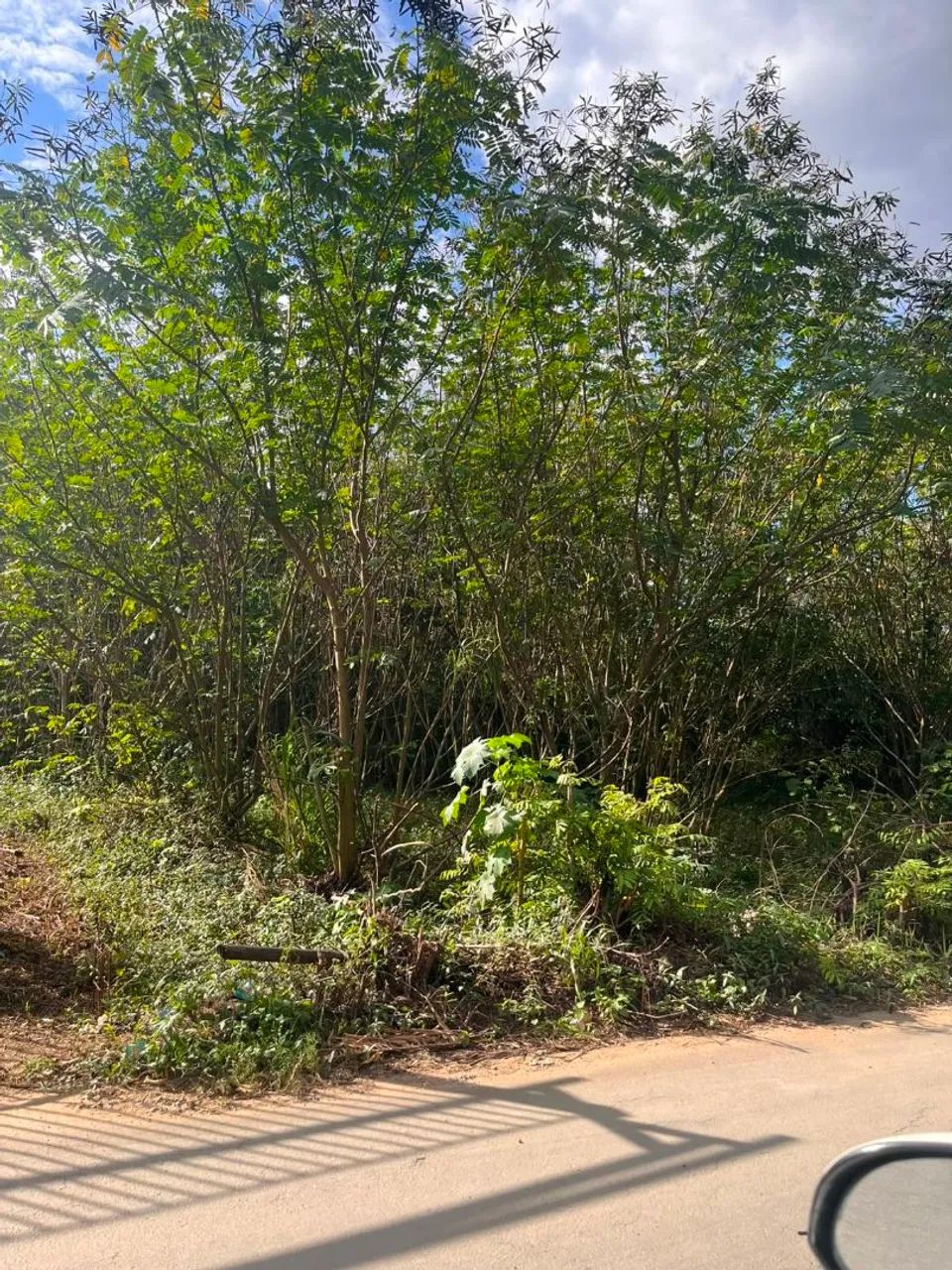 Lote em Moxuara