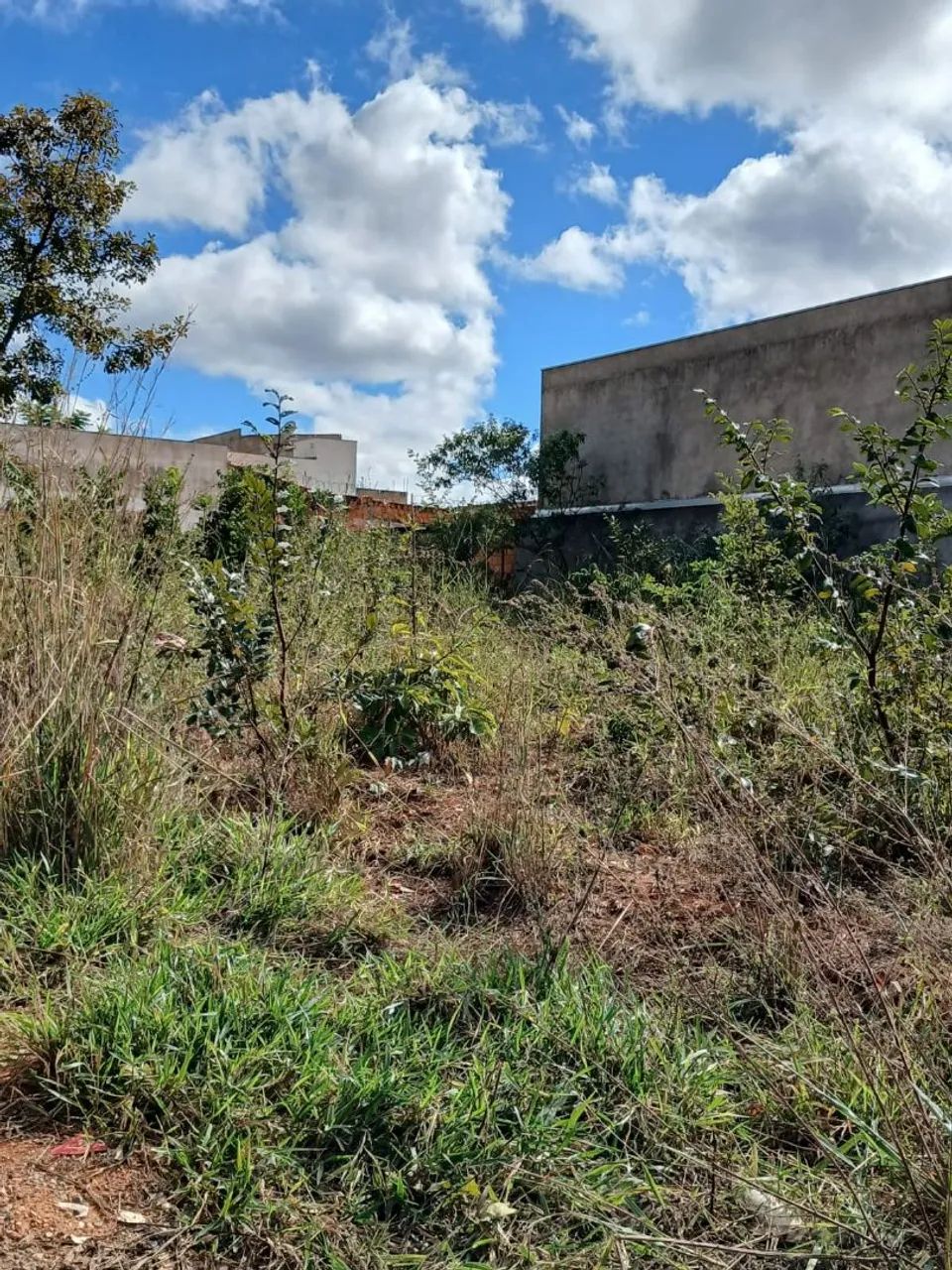 Lote - Foto 4