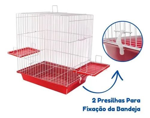 Gaiola  - Foto 2