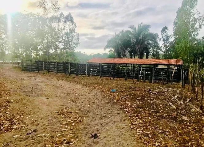 FAZENDA EM  VARGEM GRANDE - Foto 3