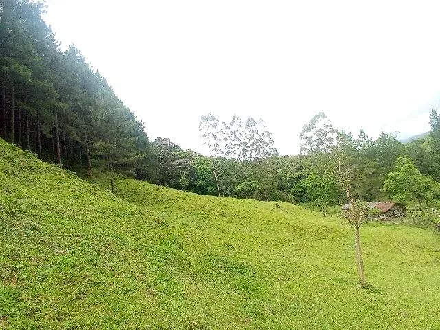 Vendo lindo sitio  - Foto 2