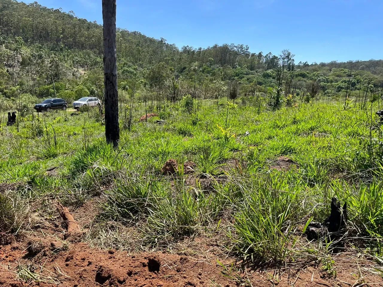 85A- SAIA DO ALUGUEL E CONQUISTE O SEU TERRENO! - Foto 2