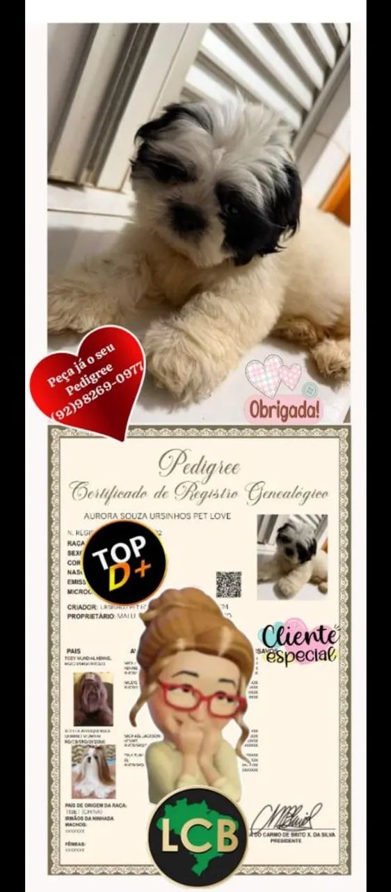 Peça já o seu Pedigree  - Foto 4