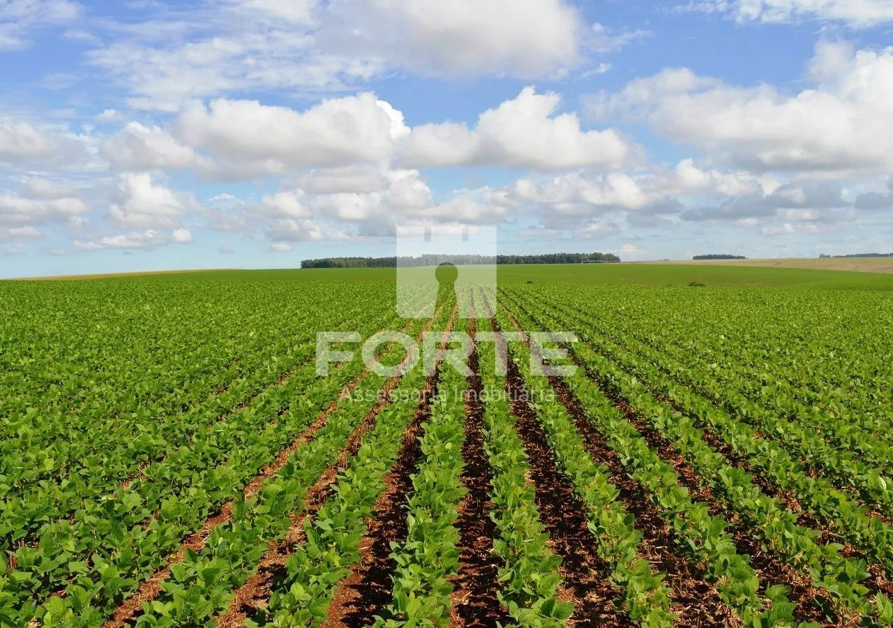 Fazenda a venda no município de Goiatins -Tocantins - Foto 4