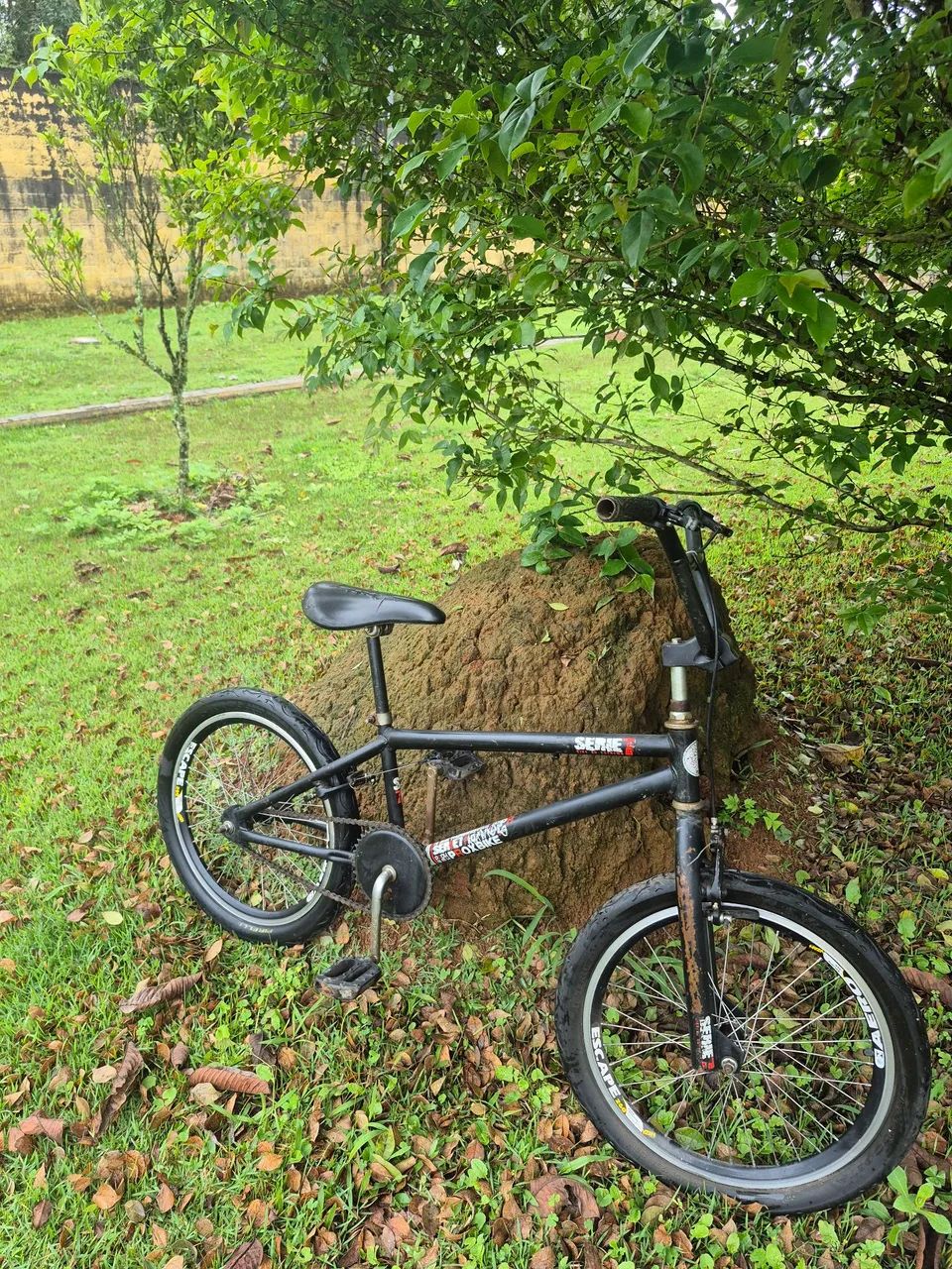 Bicicleta BMX Pro-X Série 7 Aro 20 - Foto 3
