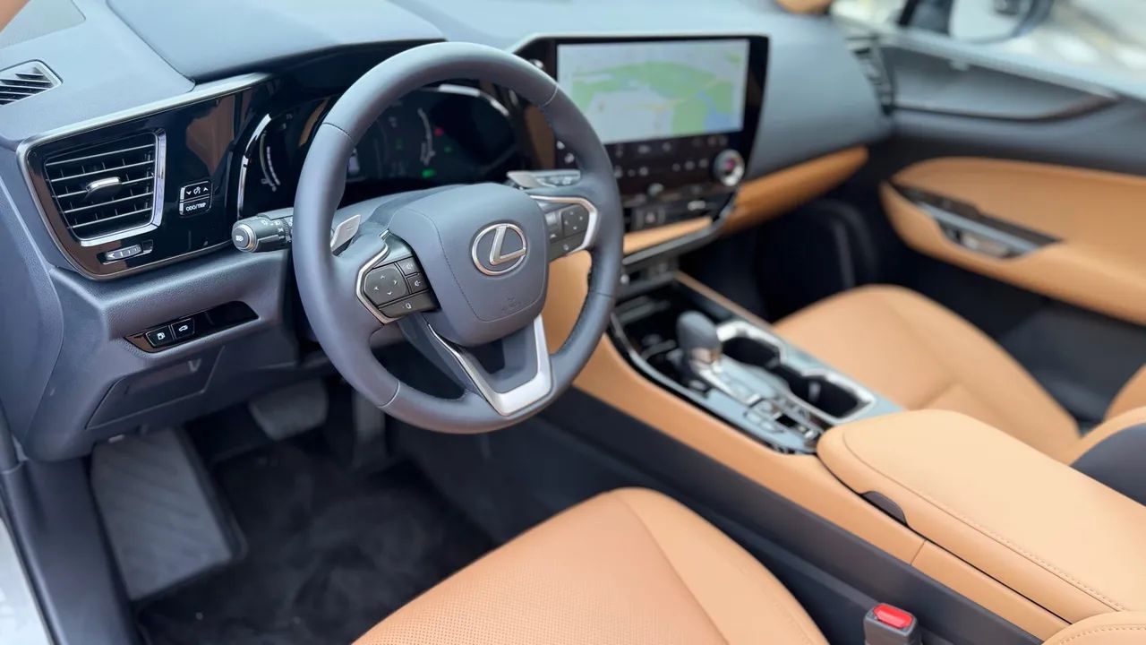 Lexus NX-450h+ AWD 2.5 16V Aut. (Híbrido), foto 12 de 13