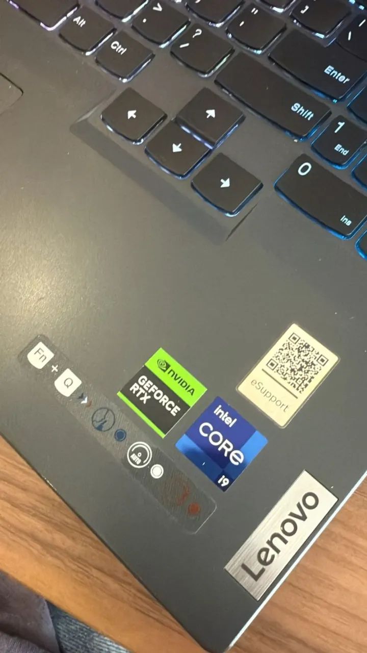 Notebook LegionPro 5 16irx8 