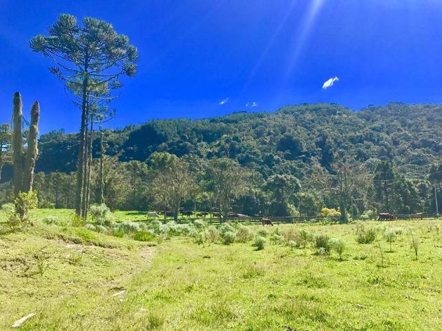 Chácara com rio em Urubici - Foto 6