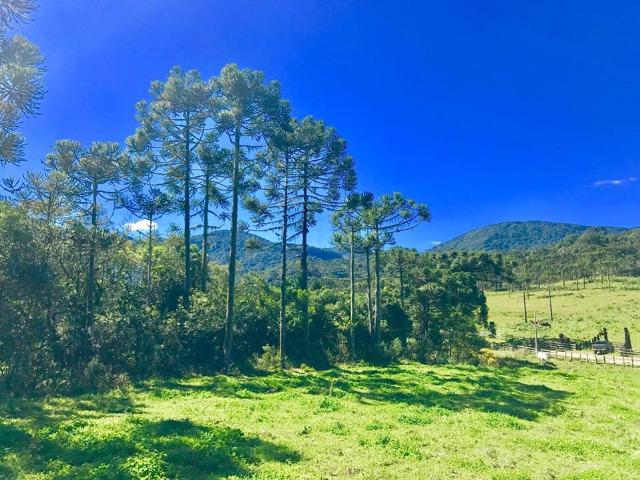 Chácara com rio em Urubici - Foto 8