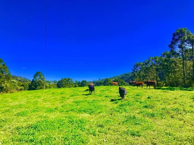 Chácara com rio em Urubici - Foto 3