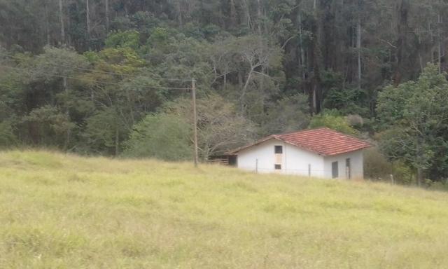 Sitio rico em água com cachoeiras, rios e lagos de piscina naturais, leia anúncio!!! - Foto 2