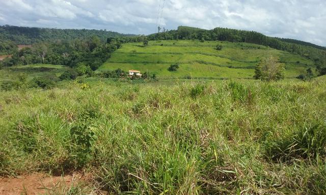 36 hectares na região pingo dagua - Foto 10