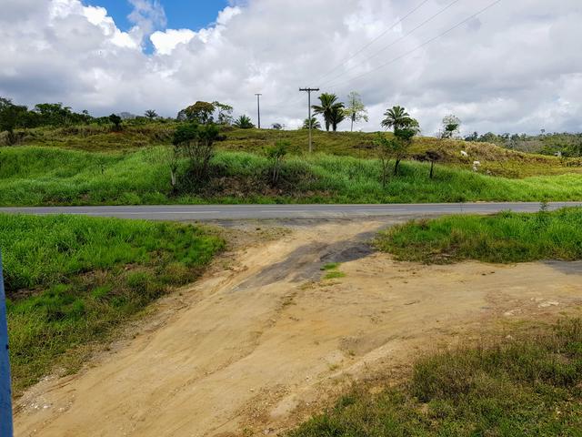 Vendo área na BR 101, perto de Itabuna - Foto 12