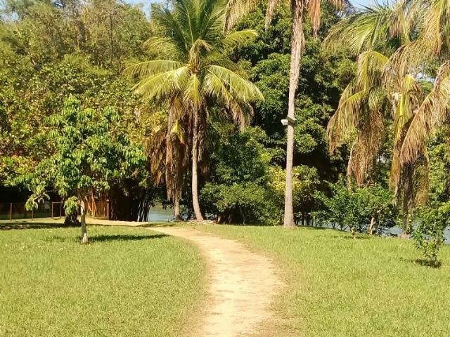 Chácara de porteira fechada no Rio Cuiabá com barco piscina gado e cavalo - Foto 14