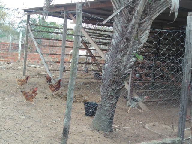 Chácara.sítio .a venda - Foto 18