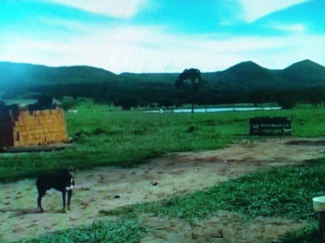 Fazenda c/ 1.098he c/ 80% formado, a 5km da BR, Caceres-MT - Foto 2