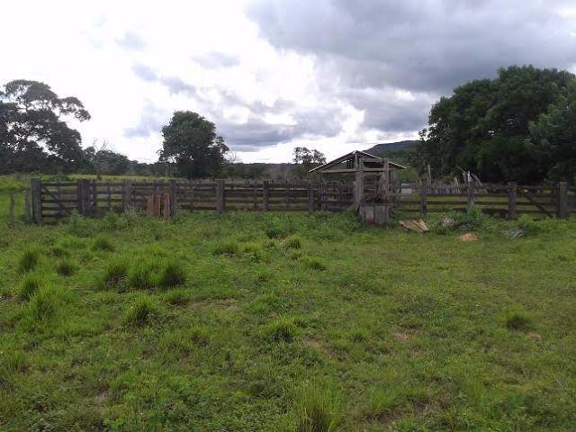 Fazenda c/ 840he c/ aprox. 400he formado, c/ GEO, Guiratinga-MT - Foto 7