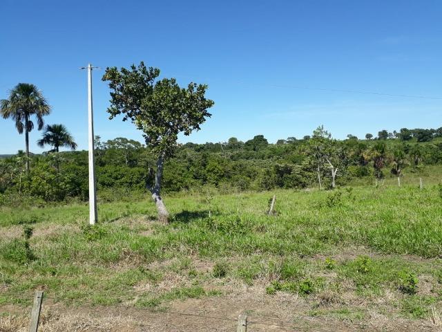 Fazenda c/ 620he, plantando em 200he, 240he em pastagens, Itiquira-MT - Foto 8