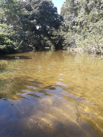 Chácara no aguaçu - Foto 6