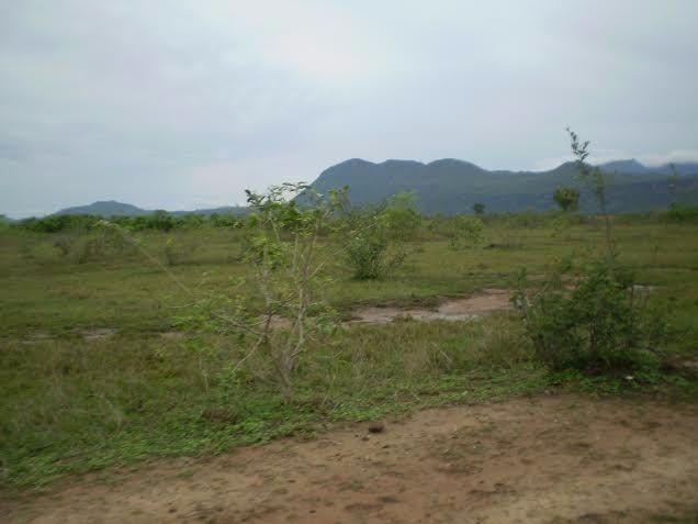 Fazenda c/ 7.615he c/ 4.200he formados, as margens da BR, Caceres-MT - Foto 5