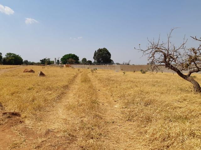 Lote Ponte Alta Norte - O melhor - Entrada 25.000,00/3 vezes, Cond. Fechado + parcelas - Foto 15