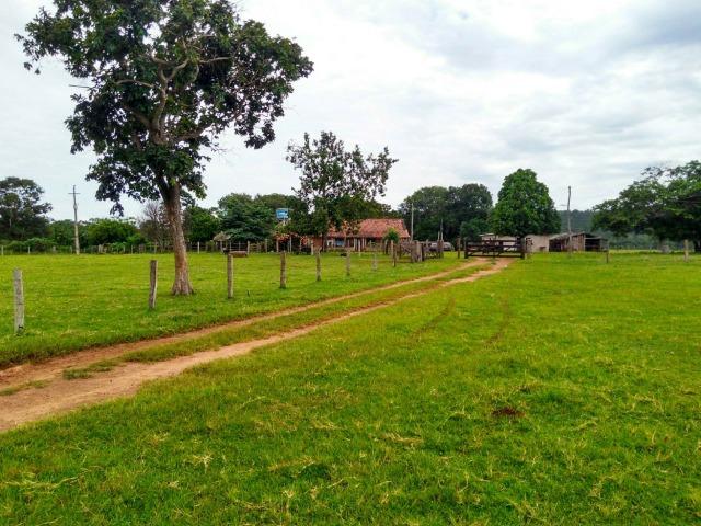 Fazenda com 686he, c/ 350He formado, terra boa, 30km antes Guiratinga-MT - Foto 11