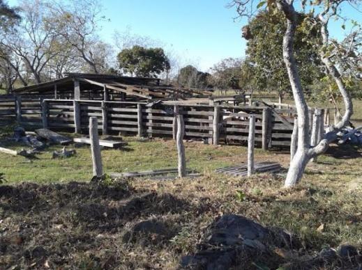 Sitio c/ 48he c/ 80% aberto, porteira fechada, N S Livramento-MT, faz troca - Foto 10