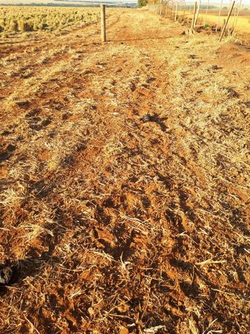 Fazenda c/ 830he, C/ 700he aberto, faz lavoura em 650he, Itiquira-MT - Foto 20