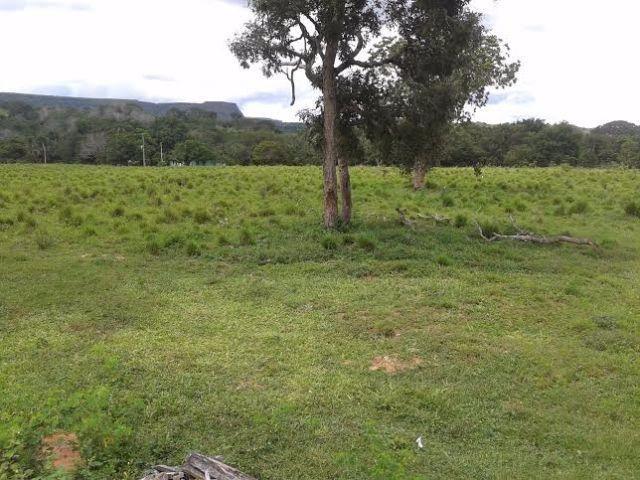 Fazenda c/ 840he c/ aprox. 400he formado, c/ GEO, Guiratinga-MT - Foto 10