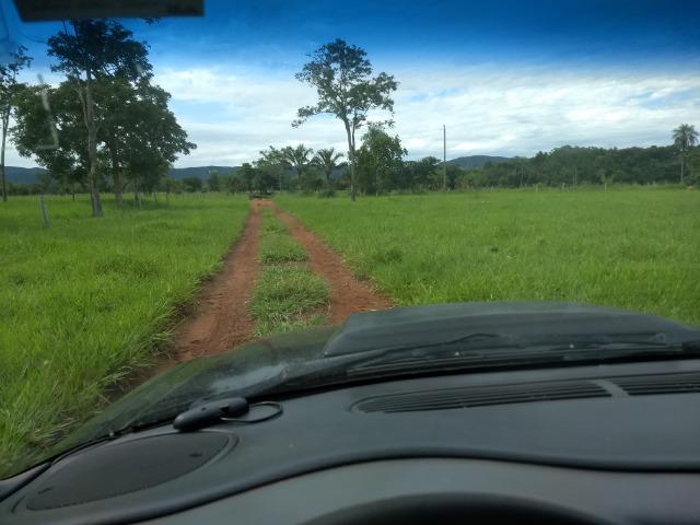 Fazenda com 200he, c/ 50% formado, terra de cultura, 40km de Cuiabá-MT