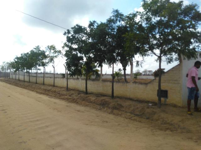 Chácara.sítio .a venda - Foto 4