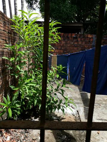 Vendo Casa no bairro Novo Horizonte - Foto 10