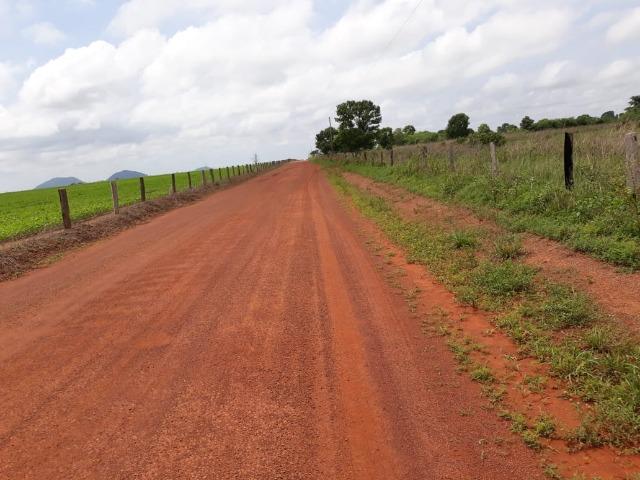 Fazenda 2.527 Hectares Plantando Lavoura - Grande Oportunidade - MT - Foto 3