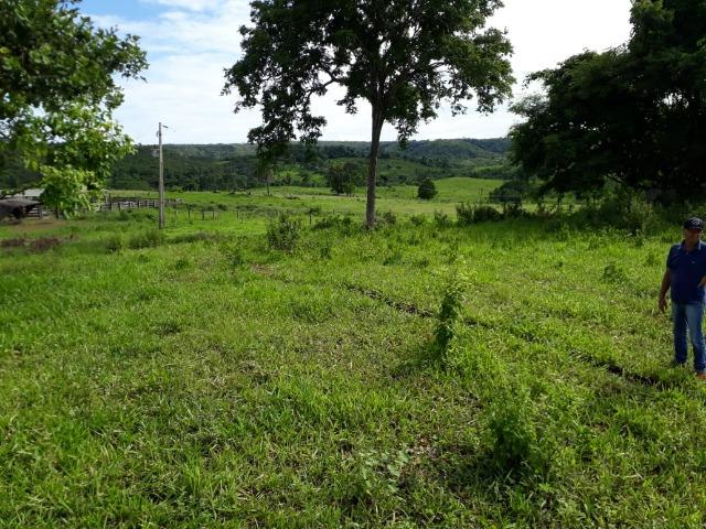 Fazenda c/ 912he, 550he formados, Terra boa, Itiquira-MT - Foto 20