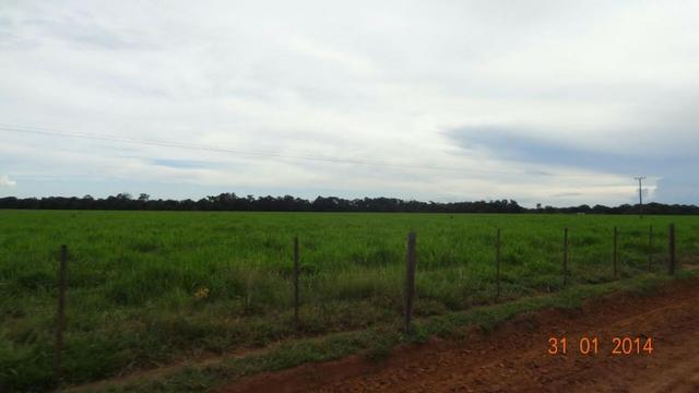 Fazenda c/ 4.500he, C/ 80% aberto, parte faz lavoura, Nova Xavantina-MT - Foto 2
