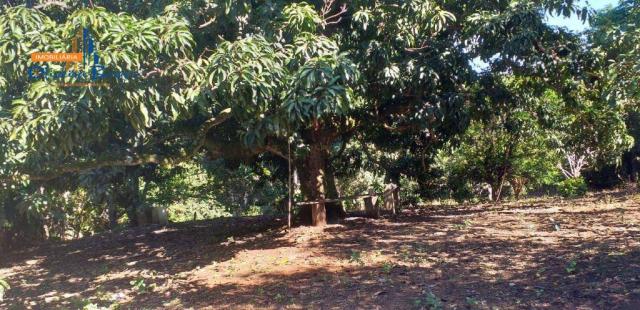 Chácara à venda por R$450.000 - Bairro São Lourenço - Anápolis/GO - Foto 5