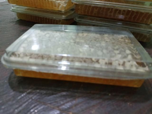 Favos de mel ,feito pelas abelhas direto na bandeja!! florada silvestre - Foto 3