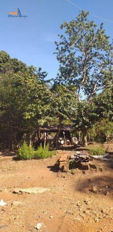 Chácara à venda por R$450.000 - Bairro São Lourenço - Anápolis/GO - Foto 10