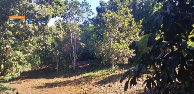 Chácara à venda por R$450.000 - Bairro São Lourenço - Anápolis/GO - Foto 7