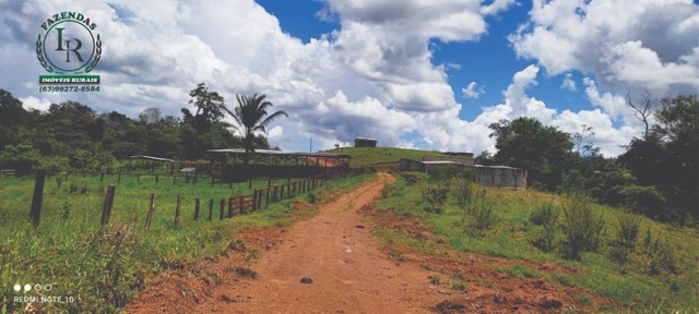 Oportunidade Fazenda Pecuária Próximo de Palmas - Foto 3