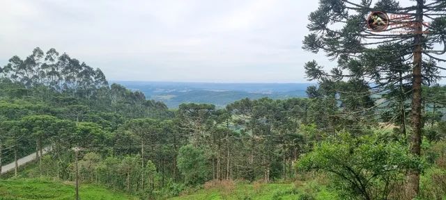 Terreno rural com 73 hectares