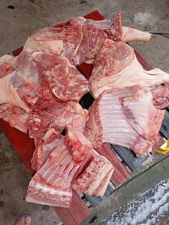 Porcos e Frangos Caipirão  - Foto 6