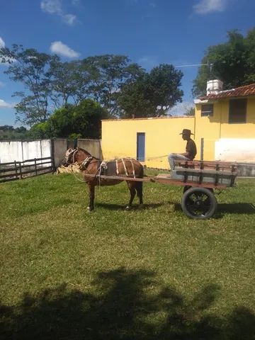 Carroça completa c/arreata  - Foto 3