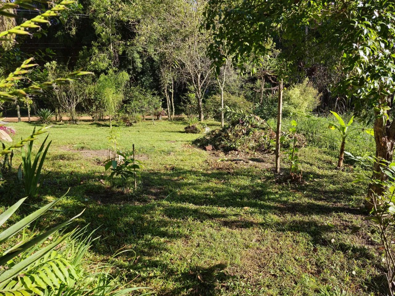 Vendo chácara em Salesópolis SP  - Foto 11