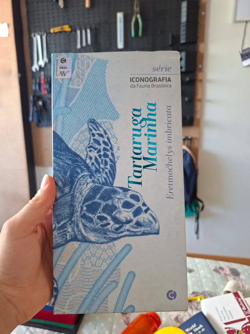 Folder edição comemorativa 2 reais banco do Brasil - Foto 3