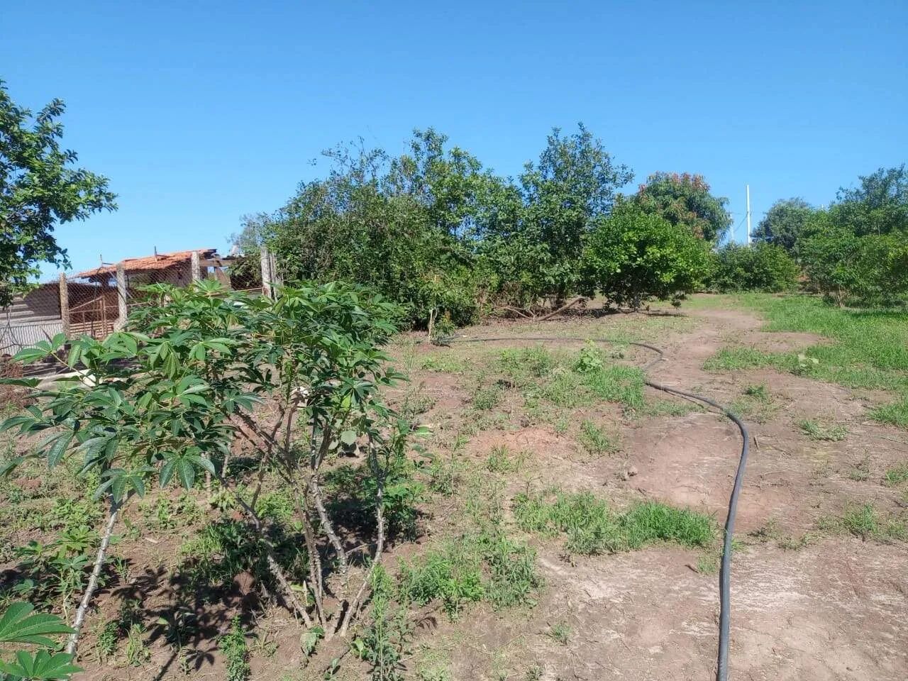 Sítio à venda, 3 quartos, Bairro dos Pires - Limeira/SP
